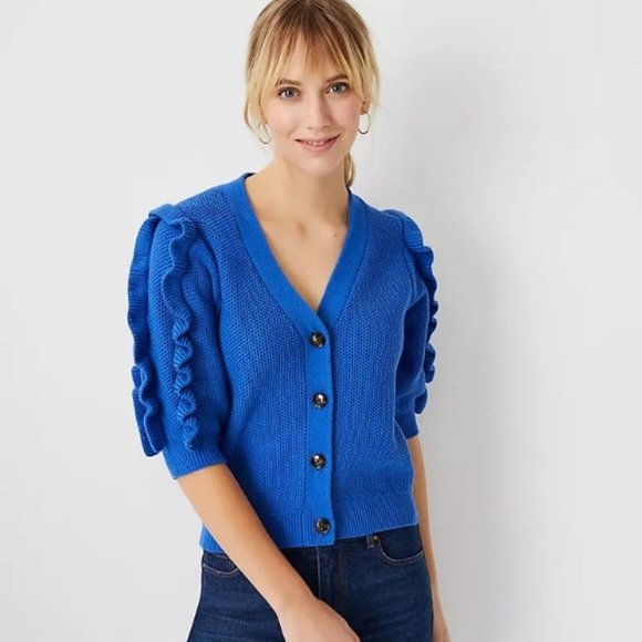 Nwt Ann Taylor Blue Ruffle Sleeve 